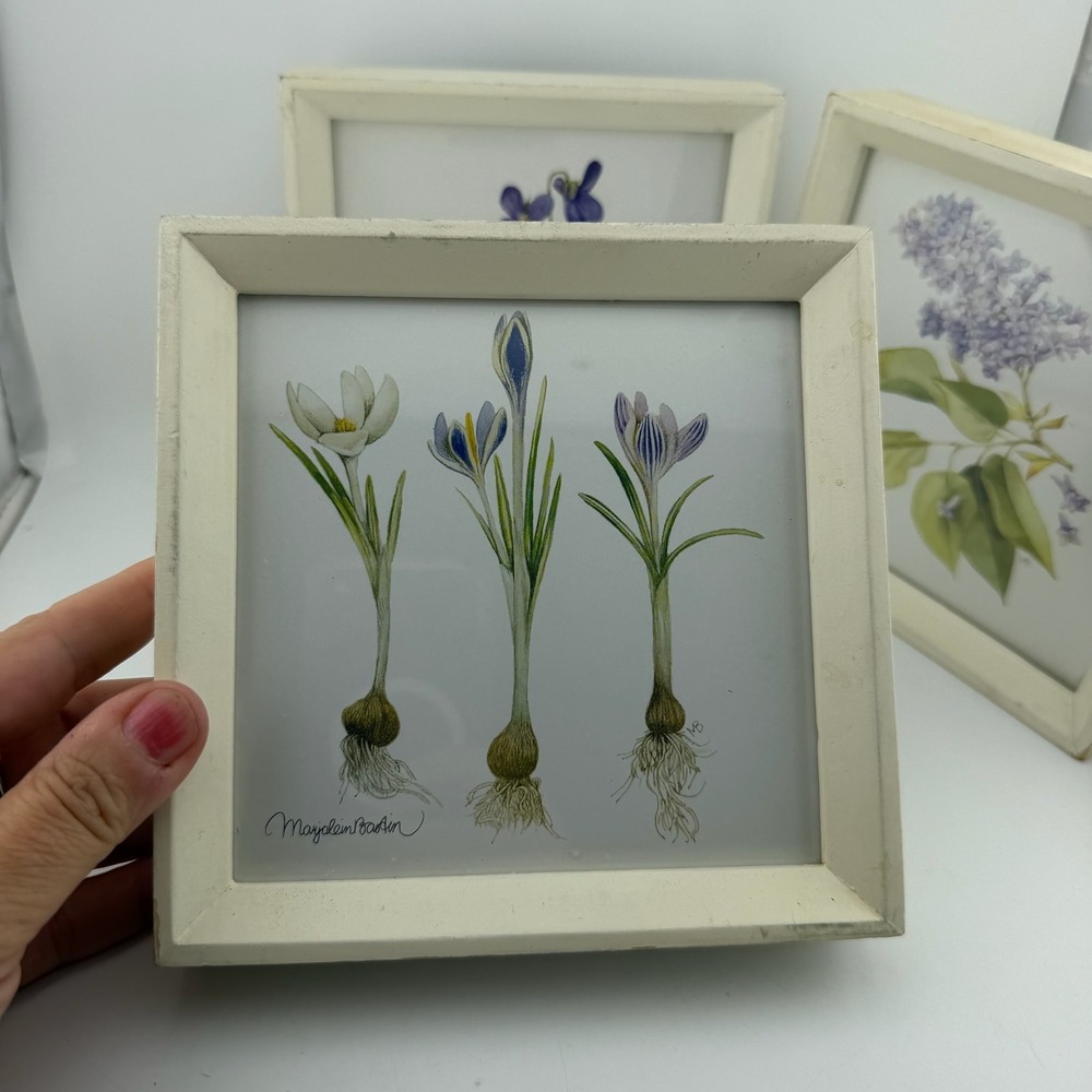 Marjolein Bastin White Botanical Flower Watercolor Shadowbox Set of 3 - Picture 2 of 9